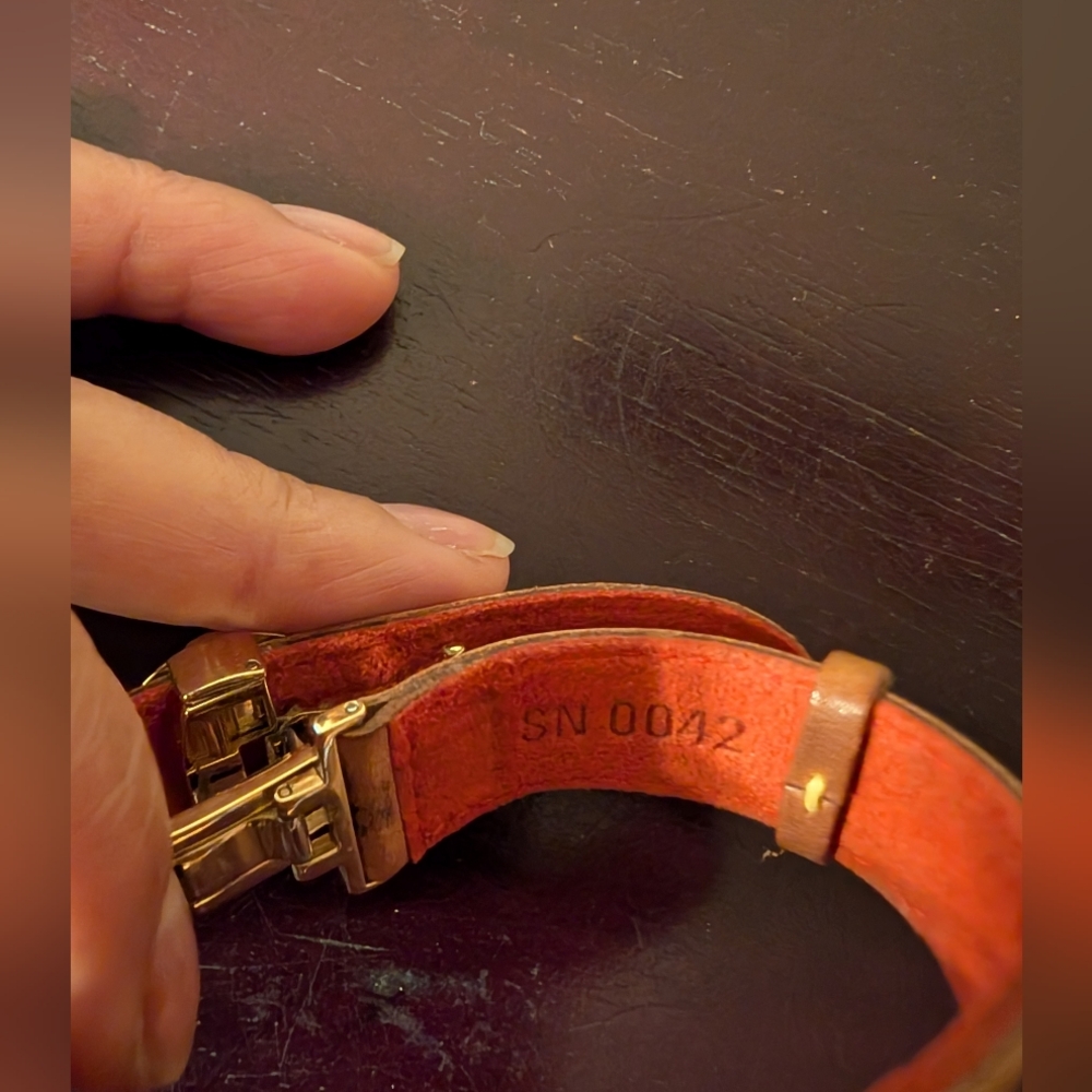 Gorgeous Louis Vuitton Paris Leather LV Good Luck Series - Picture 9 of 13
